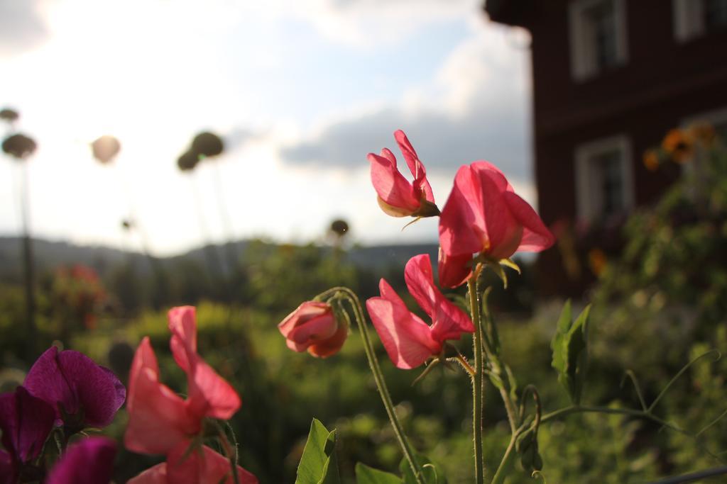 B&B Hofgenuss Ganterschwil Exterior foto
